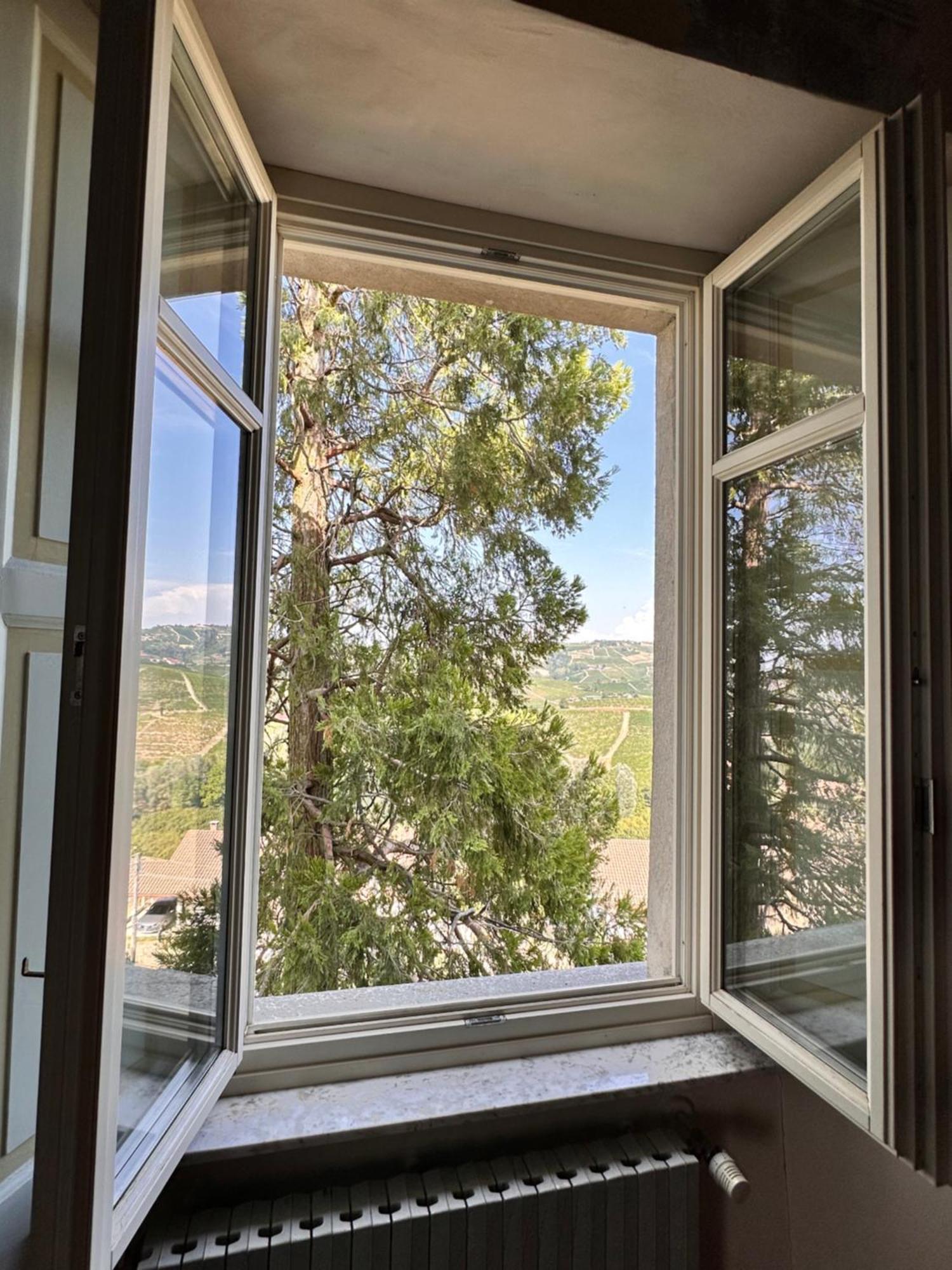Castello Di Coazzolo Bed & Breakfast เนเว ภายนอก รูปภาพ